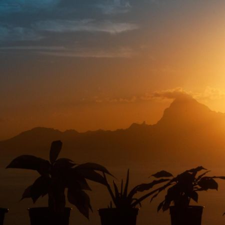 Vue Sur Moorea Apartment Punaauia  ภายนอก รูปภาพ