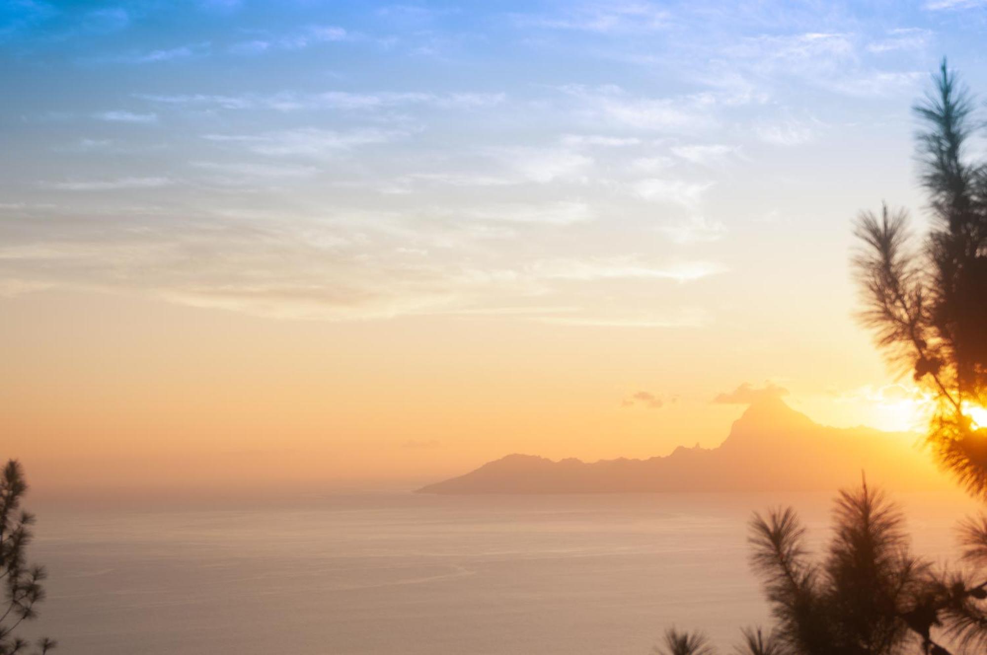 Vue Sur Moorea Apartment Punaauia  ภายนอก รูปภาพ